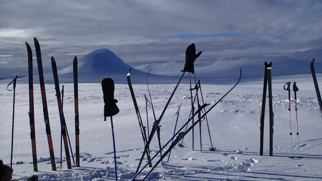 Rondane Friluftssenter Rondetunet Brenn Exterior foto